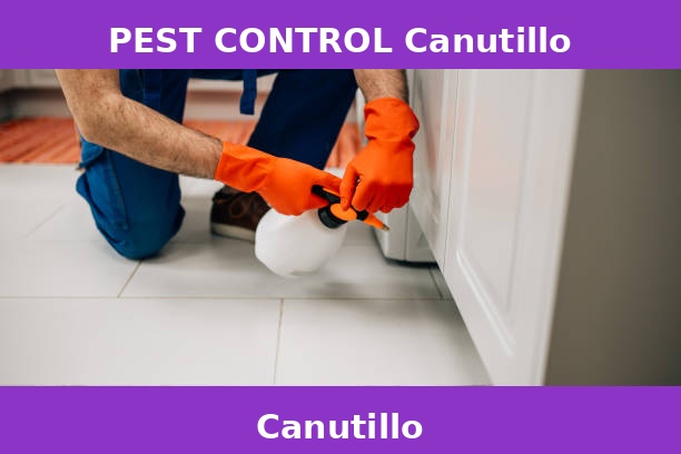 PEST CONTROL Canutillo